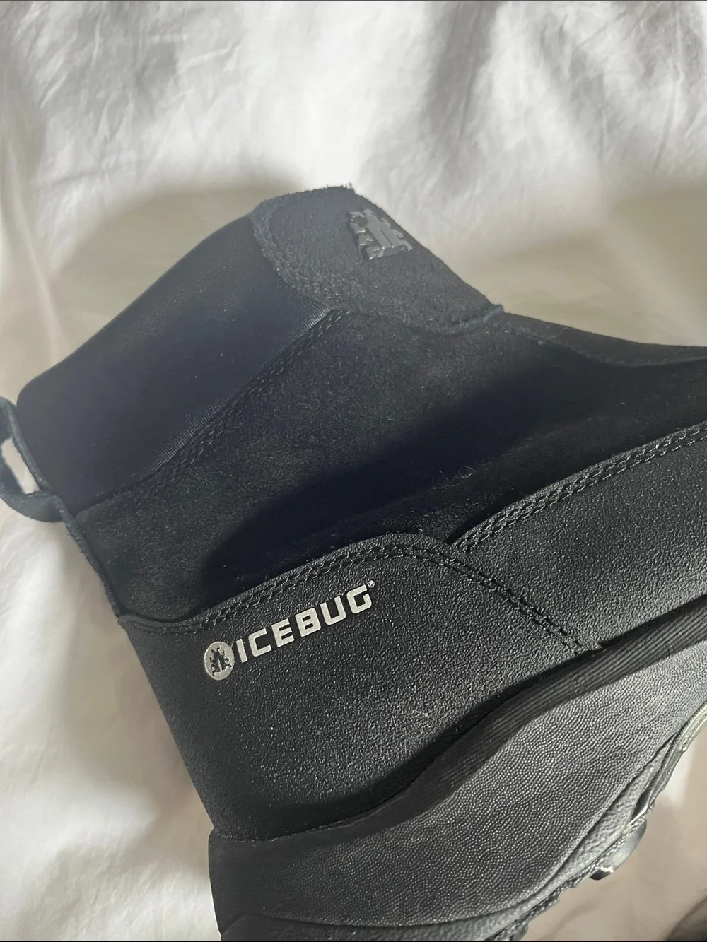 Icebug questions leave